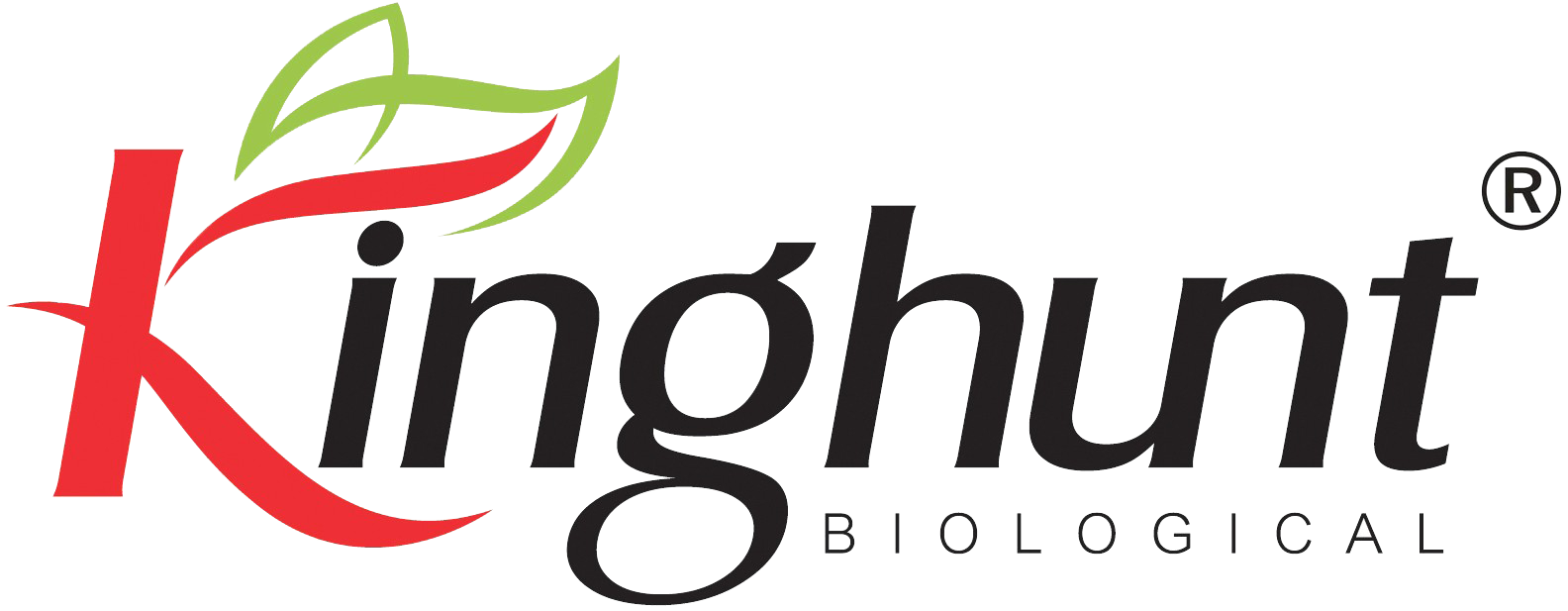 logo2