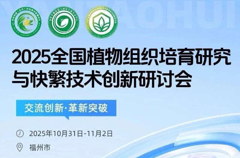 内江1.jpg